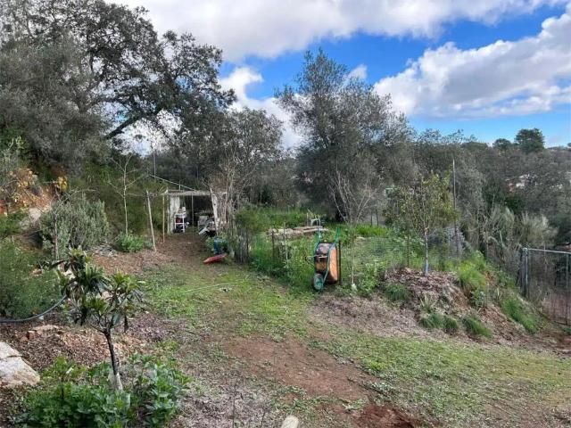 Finca rústica de alquiler en Camino Carrascoso Siete Fincas, 180d, Las Jaras, Córdoba Capital