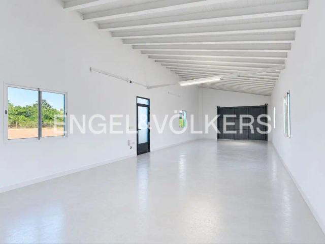 Finca rústica de alquiler en Centro, Pedreguer