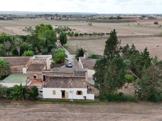 Finca rústica de alquiler en Vell de Felanitx, Zona Rústica Interior, Campos
