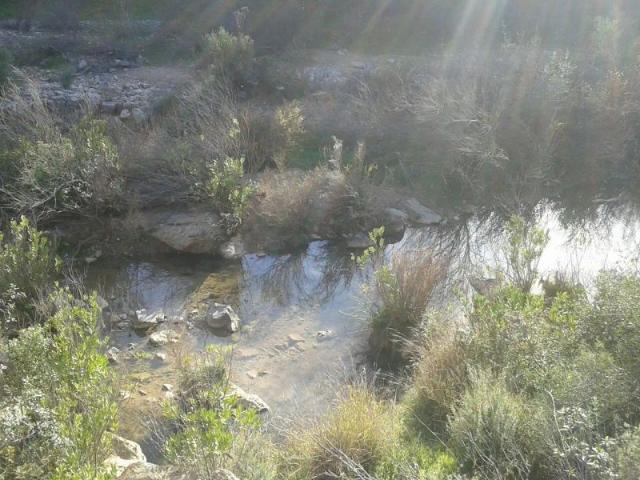 Finca rústica de alquiler en Villafranca de Córdoba, Córdoba