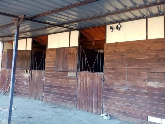 FINCA RUSTICA DE RECREO