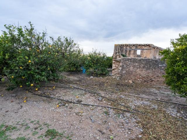 Finca rústica de regadío de 32.289 m2 completamente plana. H. 15m² Tortosa