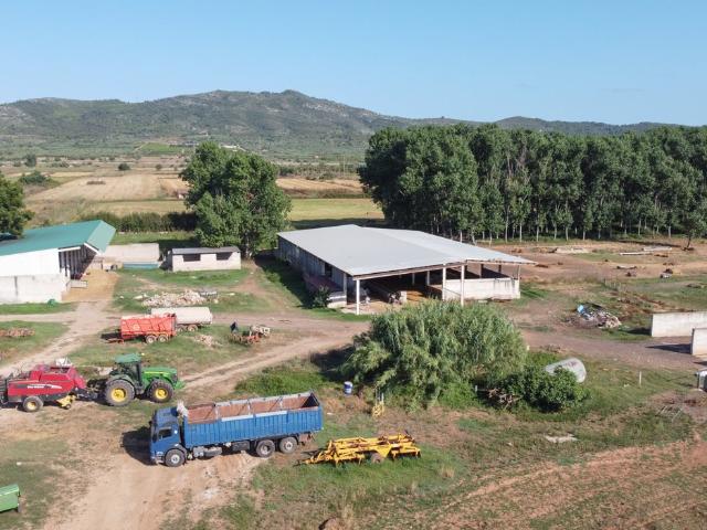 Finca rústica de regadío que acomoda 400 ovejas y todas sus. 140m² Ulldecona