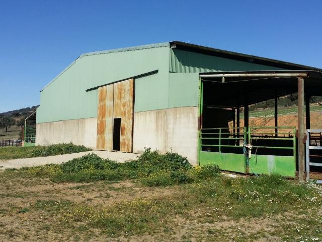 FINCA RÚSTICA DE 14 HA