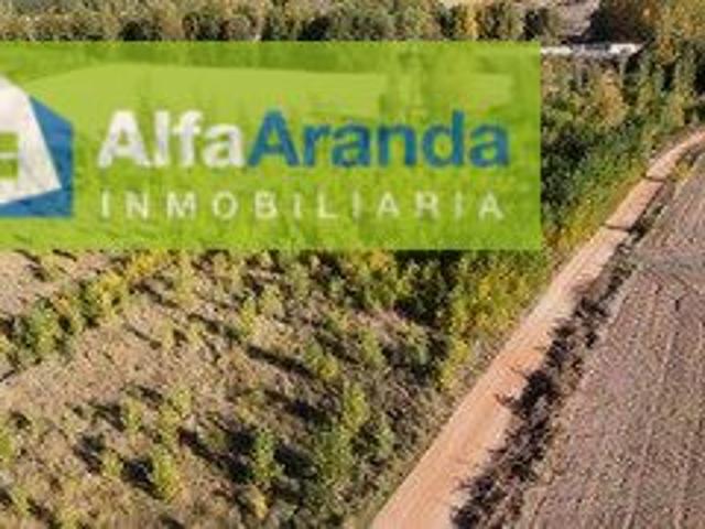 Finca rústica de 16.670 m2 en Torregalindo