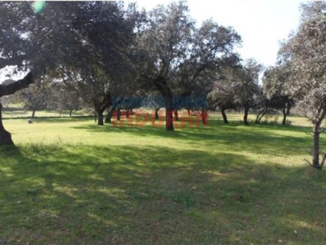 Finca rústica de 10 ha con encinas, olivos, higueras, tres charcas, una cuadra y