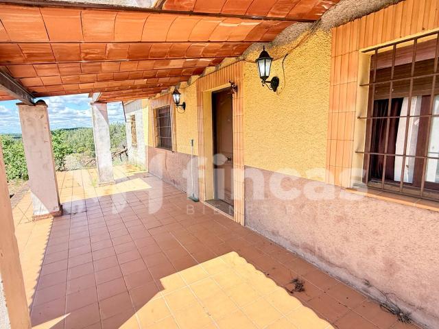 Finca rústica de 11 hectáreas con vivienda, energía solar, agua propia y explotación ganadera en Valverde del Camino