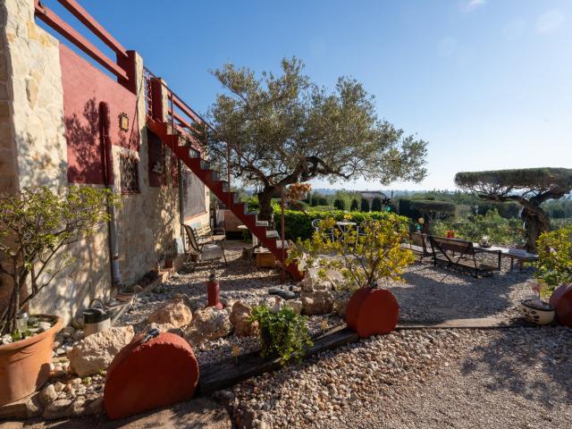 Finca rústica de 12.000 m2 con olivos, algarrobos y almendro. 88m² L'Aldea