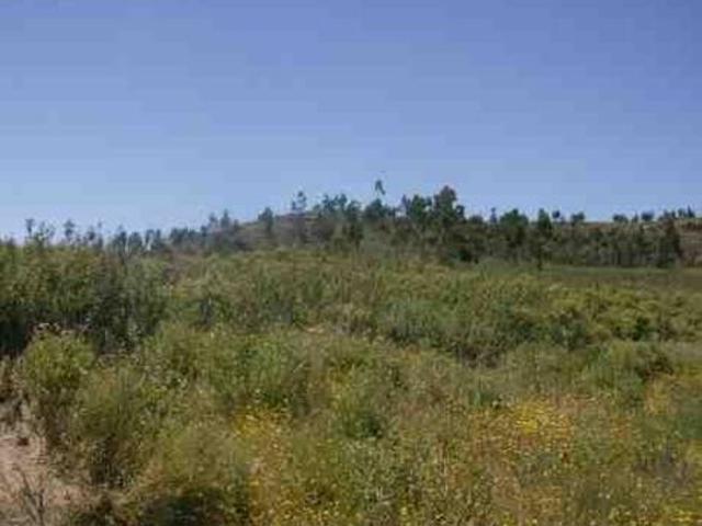 FINCA RUSTICA DE 135 Has