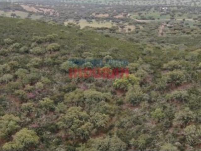 Finca rústica de 328 ha en provincia de Badajoz