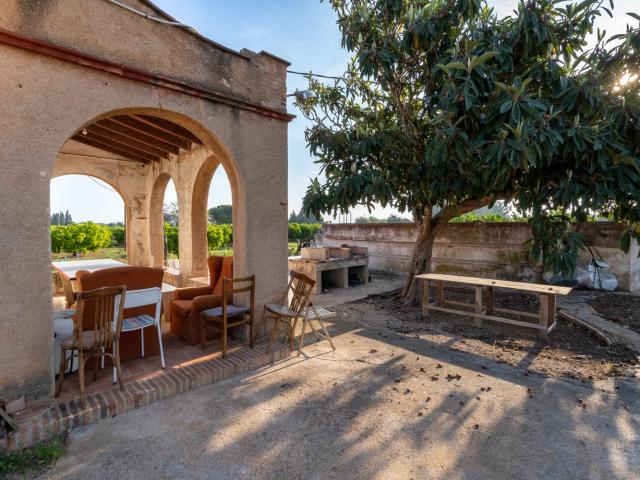 Finca rústica de 41.000 m2 plana con mandarinos. Dispone de. 58m² Santa Bárbara