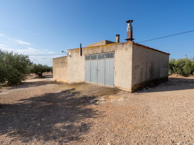 Finca rústica de 55.000 m2 completamente plana, en producció. 150m² Camarles