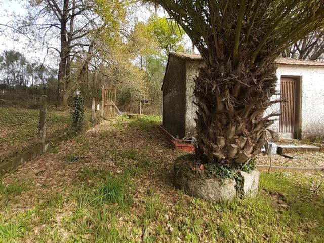 FINCA RÚSTICA DE 6.000 M2 CON GALPÓN Y POZO EN COLES OURENSE