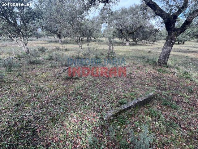 Finca rústica en Majadas de Tiétar, Cáceres