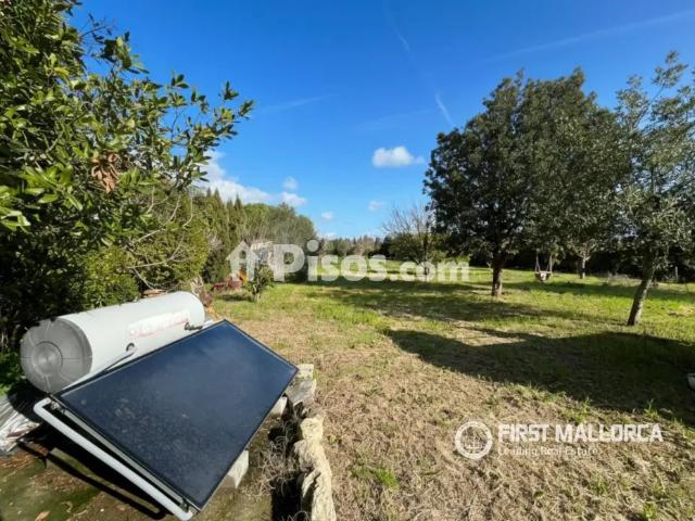 Finca rústica en alquiler en Montuïri
