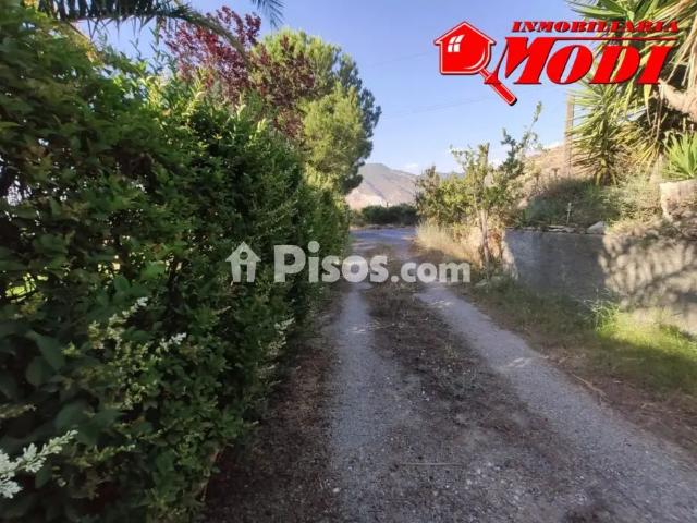 Finca rústica en alquiler en Padul