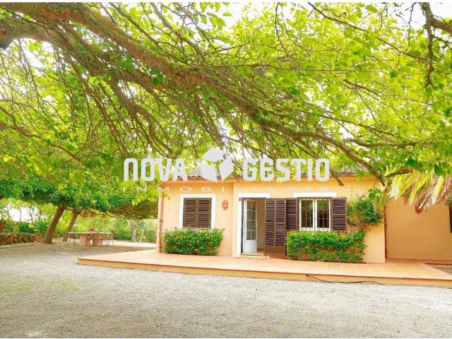Finca rústica en alquiler en Porto Cristo