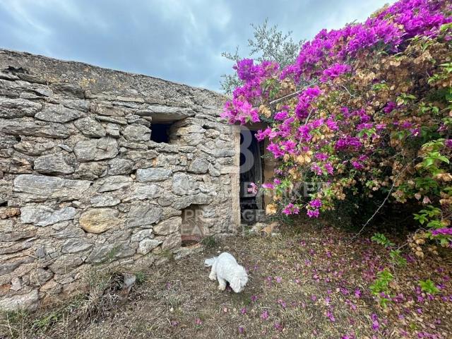Finca rústica en Artá 500m² Arta