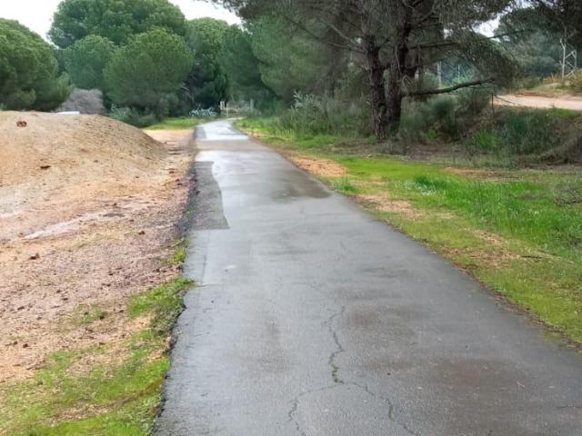 FINCA RÚSTICA EN BEAS