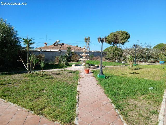 FINCA RÚSTICA EN CAMINIO DE TORREALTA