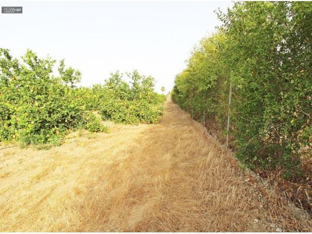 FINCA RÚSTICA EN CAMPANILLAS