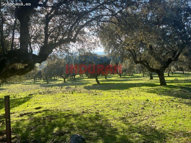 Finca rústica en Deleitosa, Cáceres. A 2 horas de Madrid