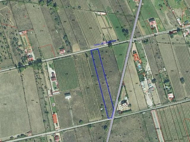 FINCA RUSTICA EN DHESAS
