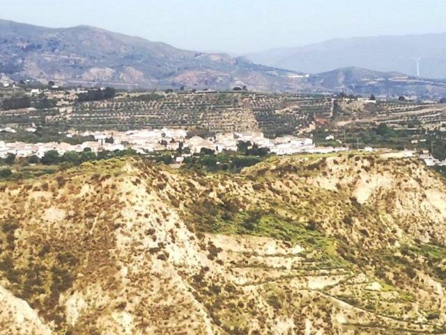 Finca rustica en el Valle de Lecrín