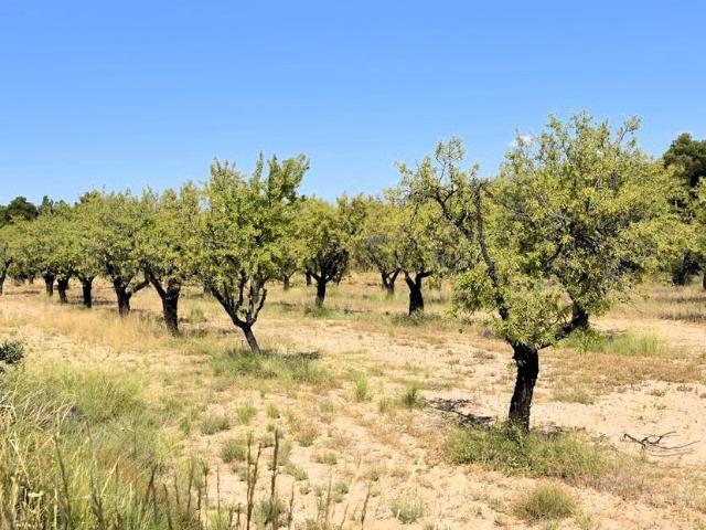 Finca rústica en Fuentespalda
