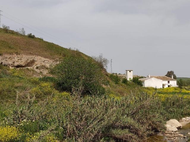 FINCA RÚSTICA EN HERRERA