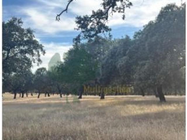 FINCA RUSTICA EN LA COMARCA DE VILLUERCAS IBORES