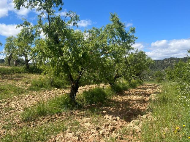 Finca rústica en La Fresneda