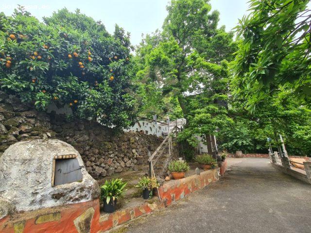 Finca rústica en La Perdoma