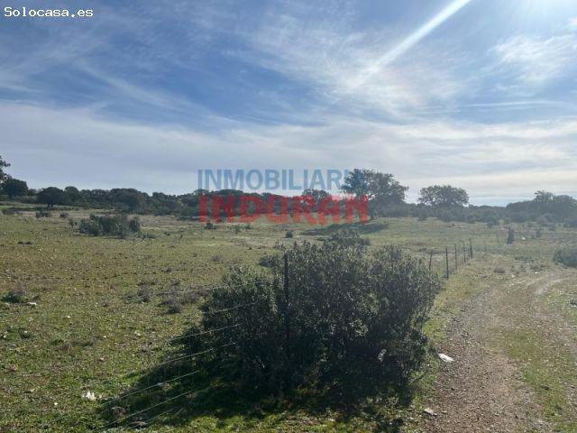 Finca rústica en Puerto de San Vicente, Toledo