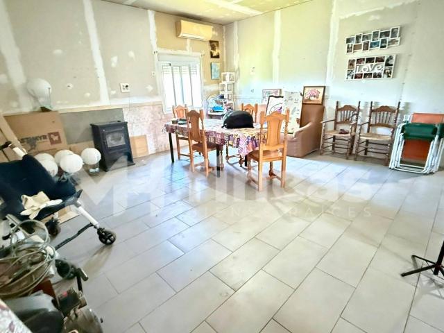 Finca rústica en Pilas con 8.500 m2, vivienda + nave, pozo y placas solares – oportunidad única 139.900