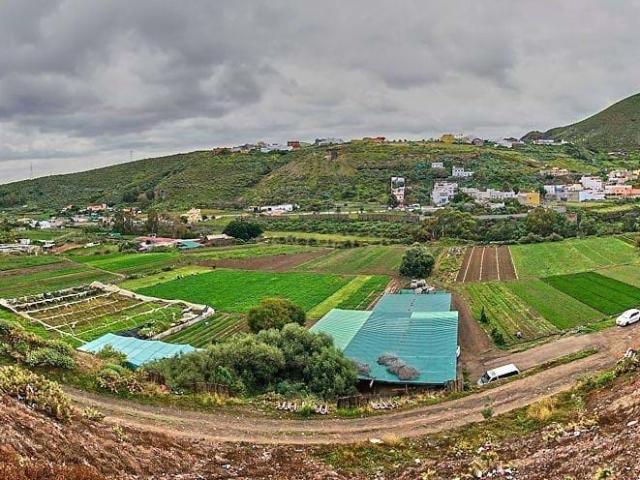 Finca rústica en producción, con agua y vivienda a reformar