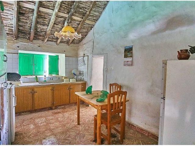 Finca rústica en producción, con agua y vivienda a reformar