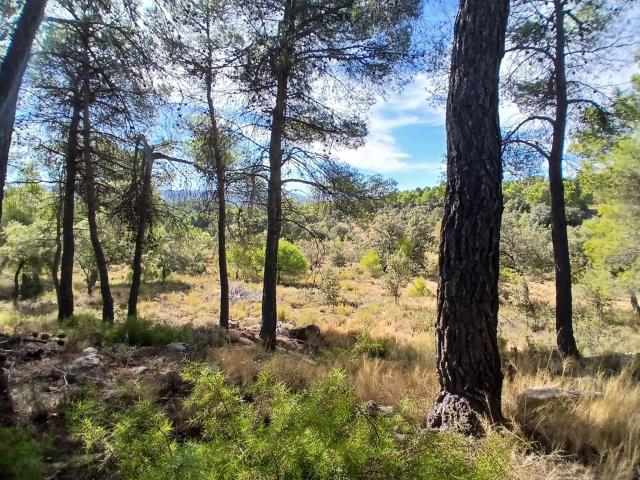 Finca rústica en Ráfales