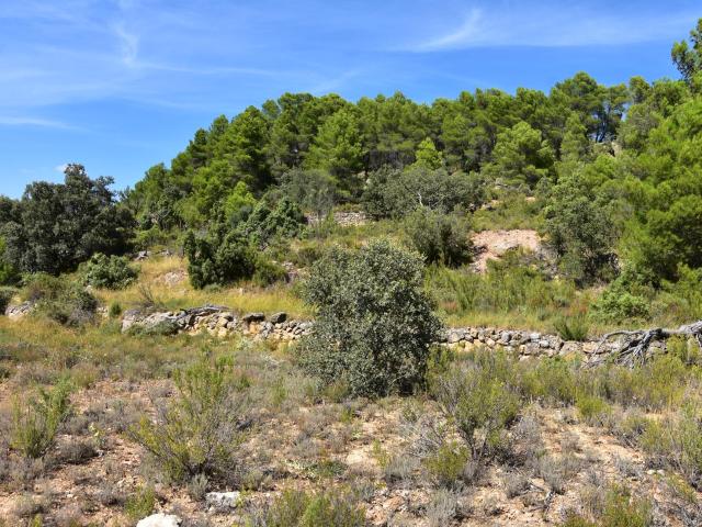Finca rústica en Ráfales