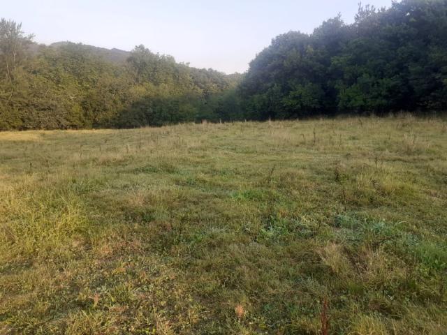 FINCA RUSTICA EN RAMALES DE LA VICTORIA CANTABRIA