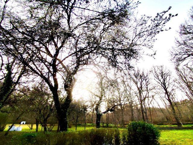 Finca Rústica en Sale: Tu Retiro Ideal a 15 minutos de la cuidad