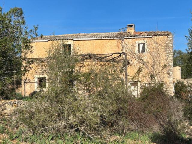 Finca rústica en s'espinagar