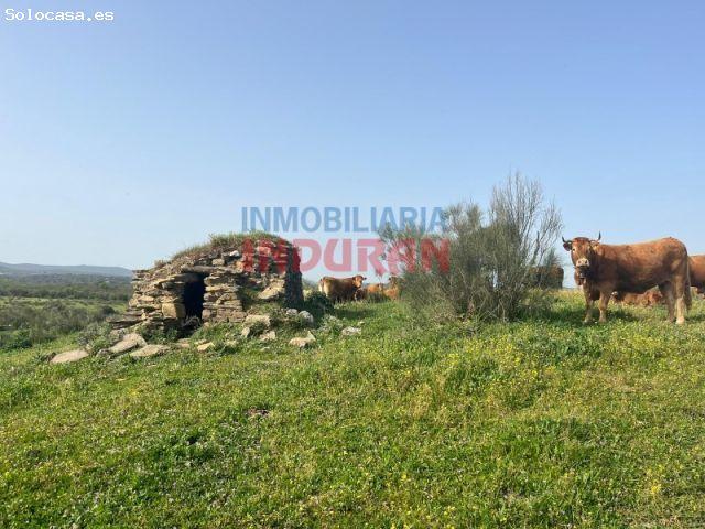 Finca rústica en Valdelacasa de Tajo, Cáceres