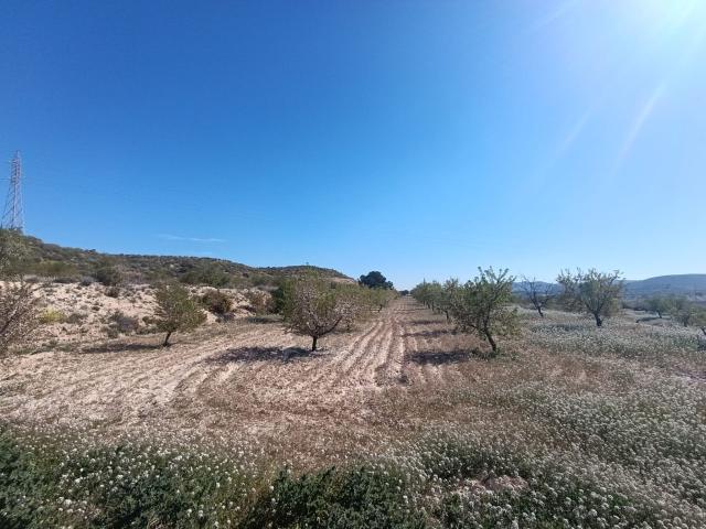 Finca rústica en venta. MURCIA