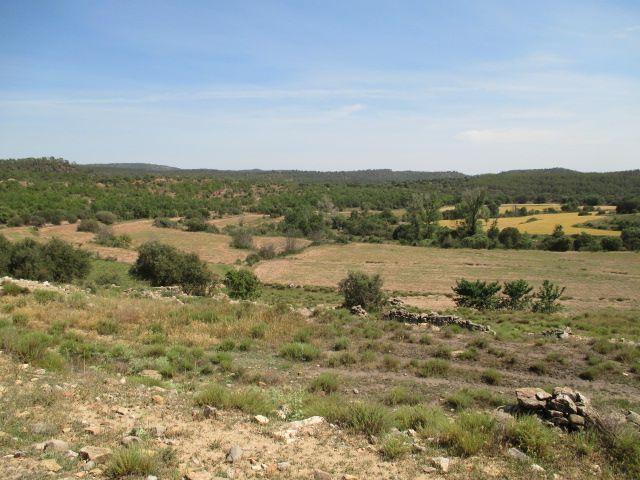 Finca rústica en venta. MORA DE RUBIELOS