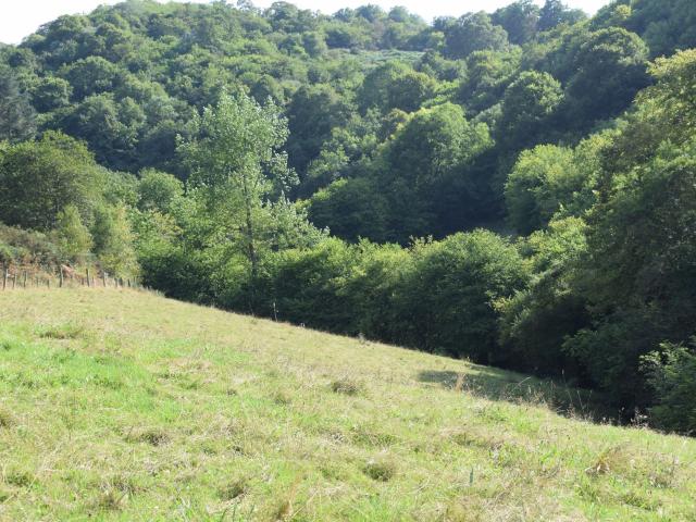 Finca rústica en venta. NAVA