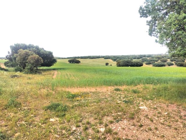Finca rústica en venta. ALBARRACíN