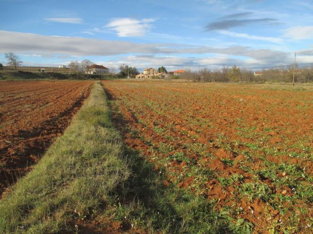 Finca rústica en venta. ALBENTOSA