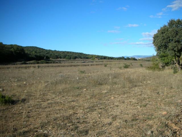 Finca rústica en venta. ALBENTOSA