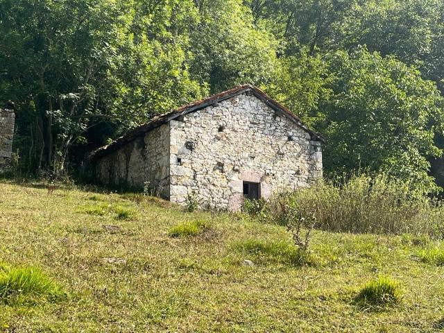 Finca rústica en venta. AMIEVA